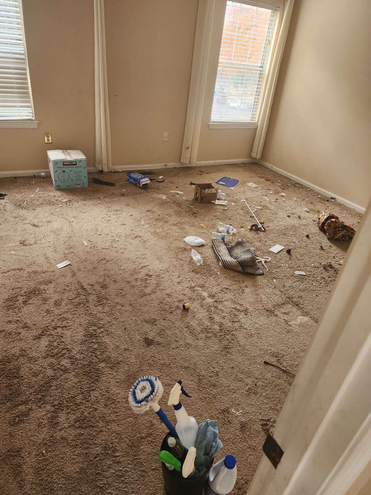 Carpet Stain Removal Services