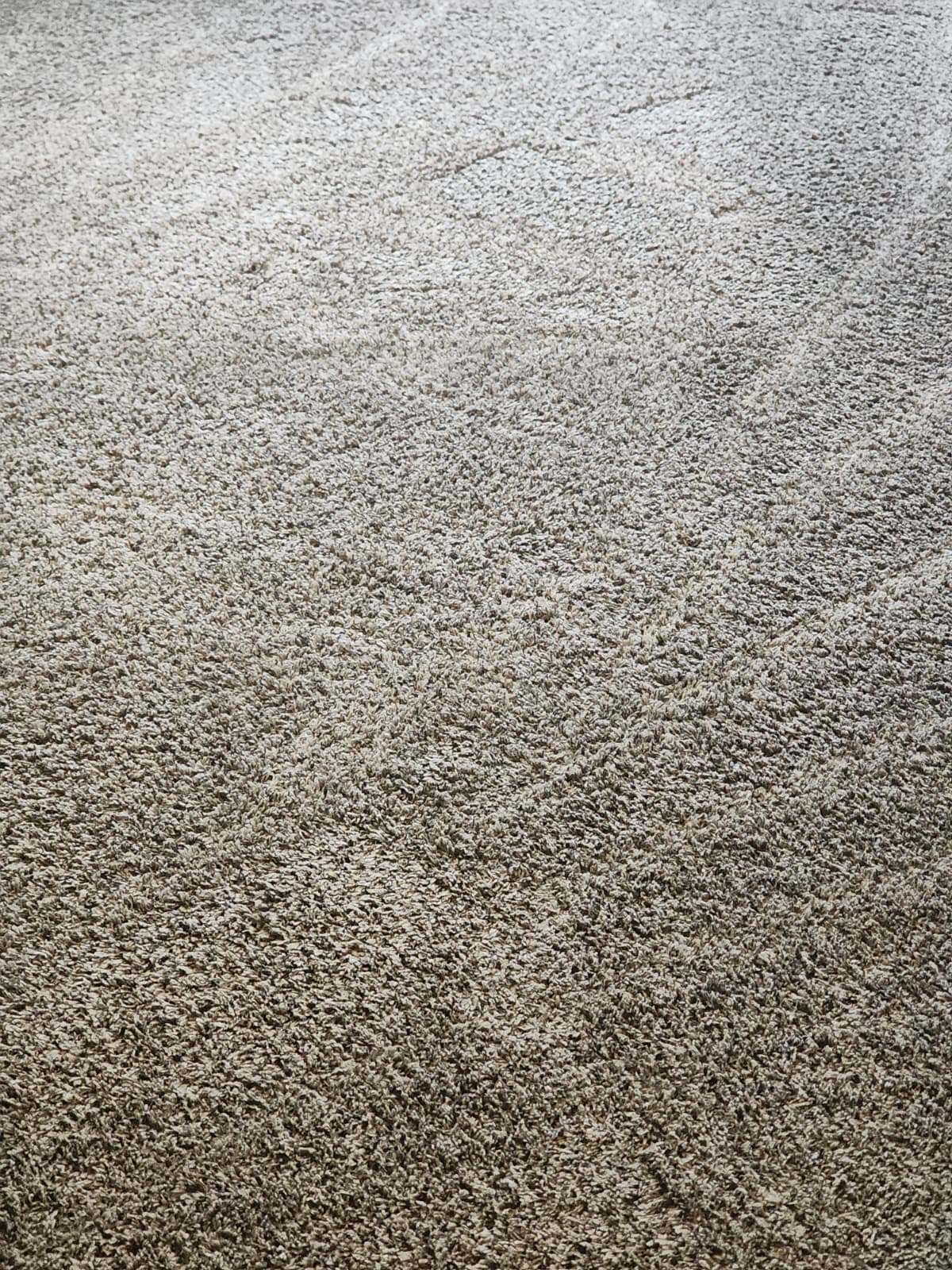 Same Day Carpet Cleaning