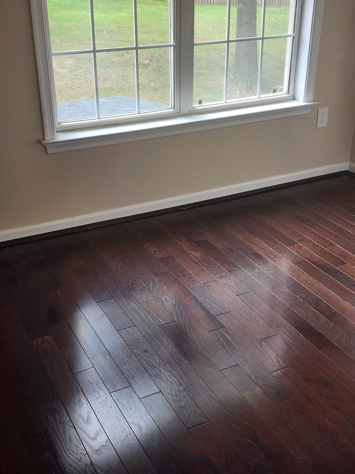 Eco-Friendly Cleaning Services