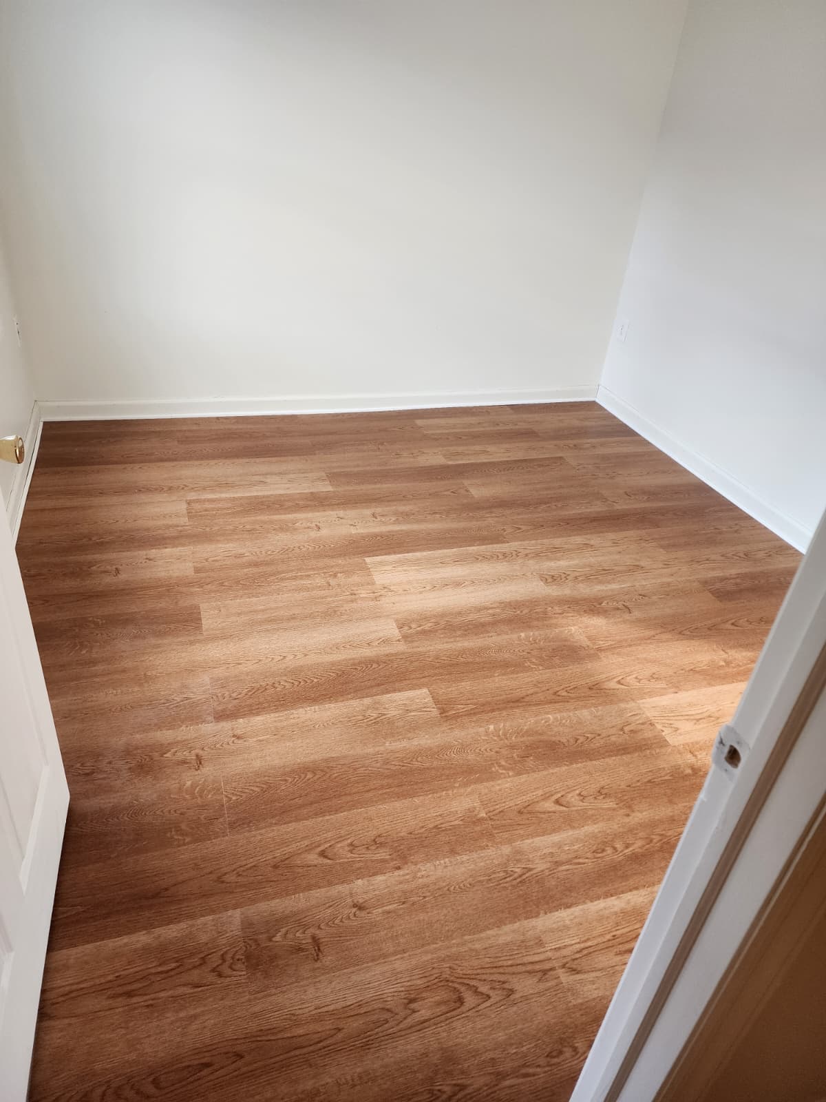 Janitorial Cleaning Services